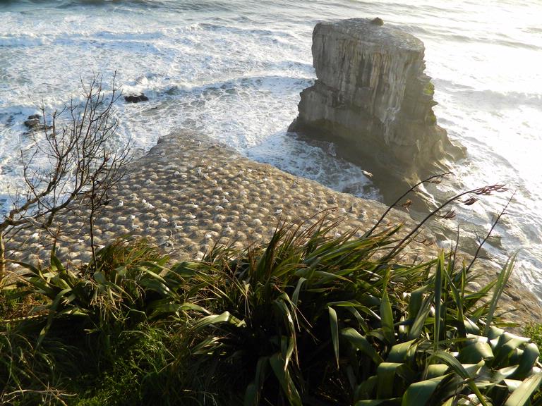 Fleur Vonlanthen; Muriwai
